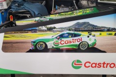 Castrol Custom Pinball