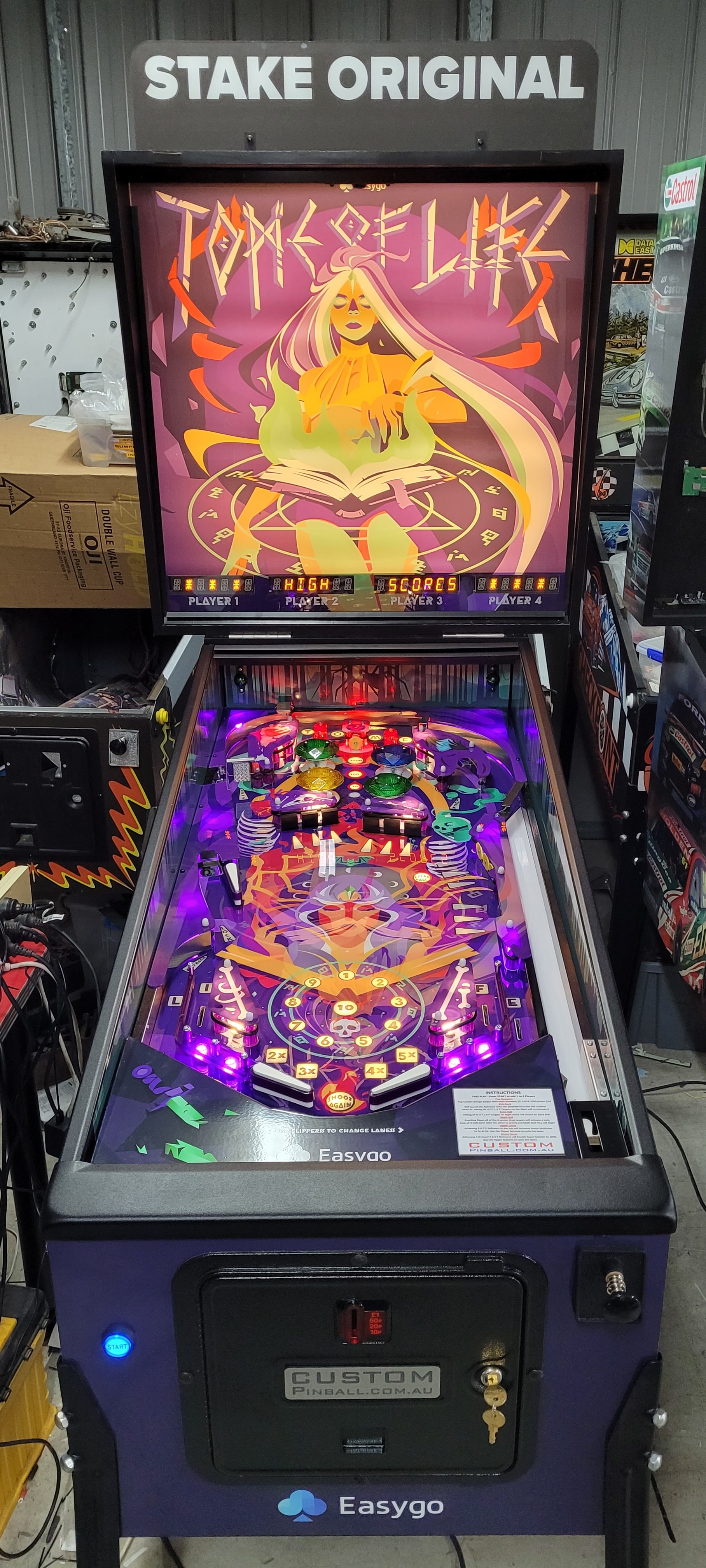 EasyGo Tome of Life Custom Pinball Game