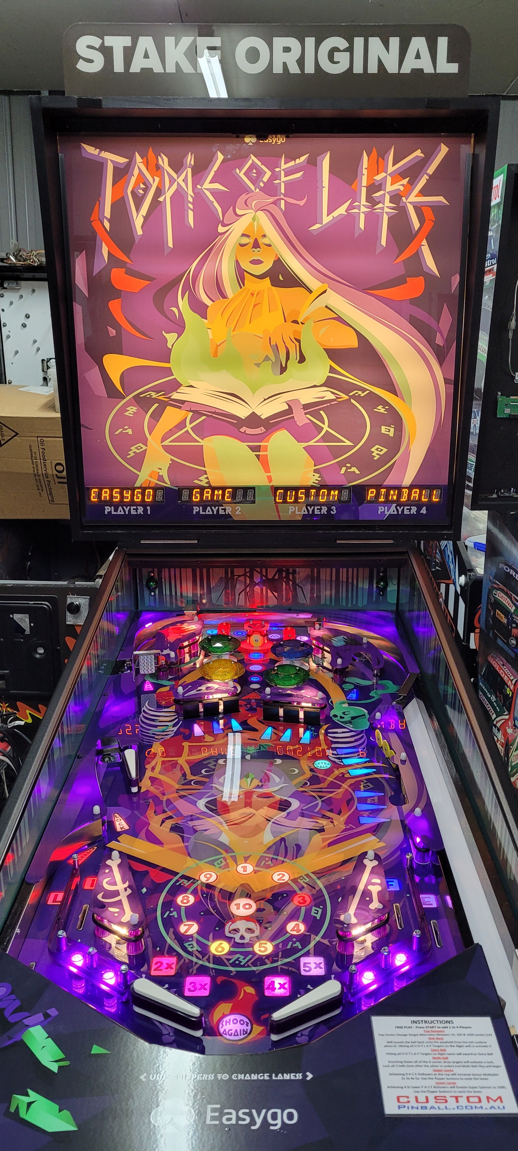 EasyGo Tome of Life Custom Pinball Game