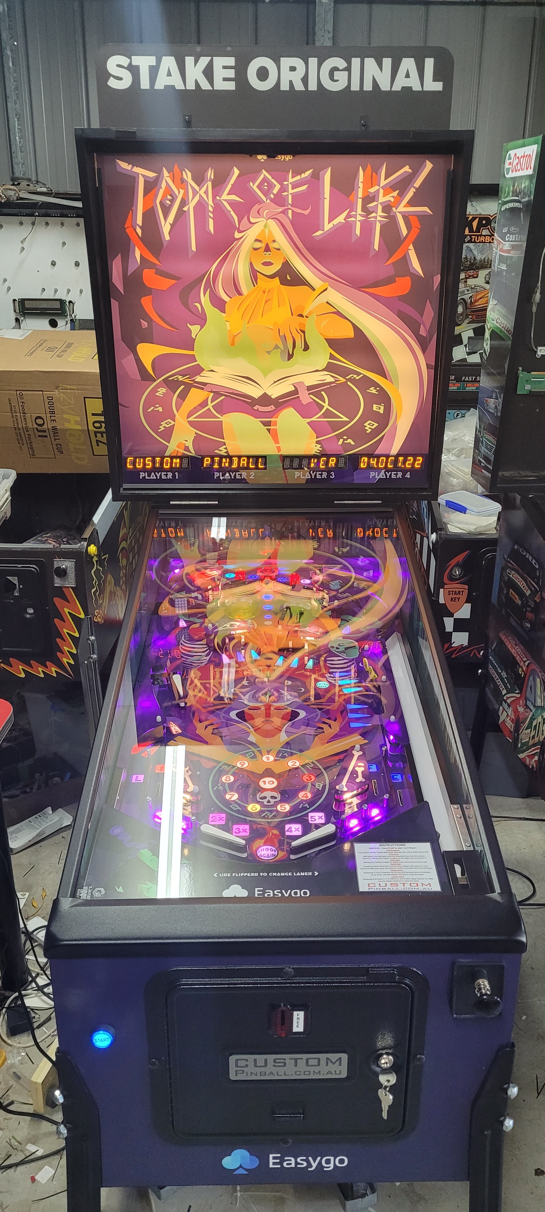 EasyGo Tome of Life Custom Pinball Game