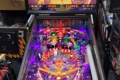 EasyGo Tome of Life Custom Pinball Game