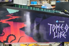 EasyGo Tome of Life Custom Pinball Game