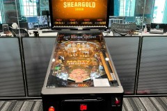 Triple M - Marty Sheargold Radio Show Custom Pinball